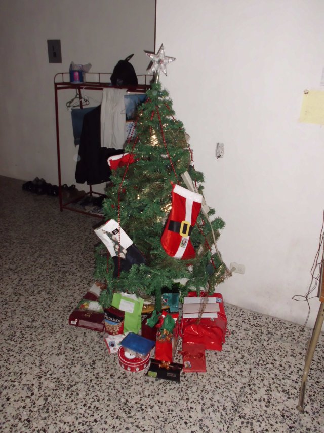 Our Christmas tree with all of the gifts that we got this Christmas. It was pretty darn awesome.